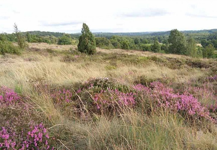 Sentier des bergers et tuiliers