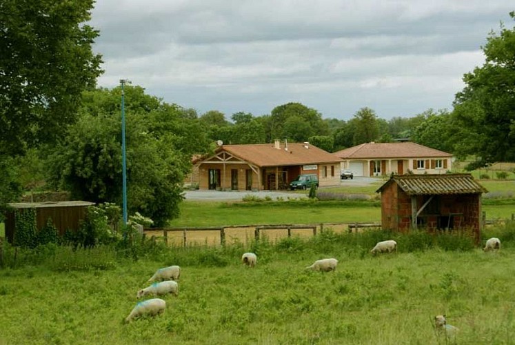 Sentier des Bruyères