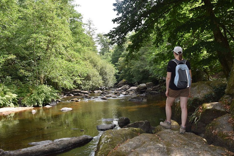 Sentier des Feutrières