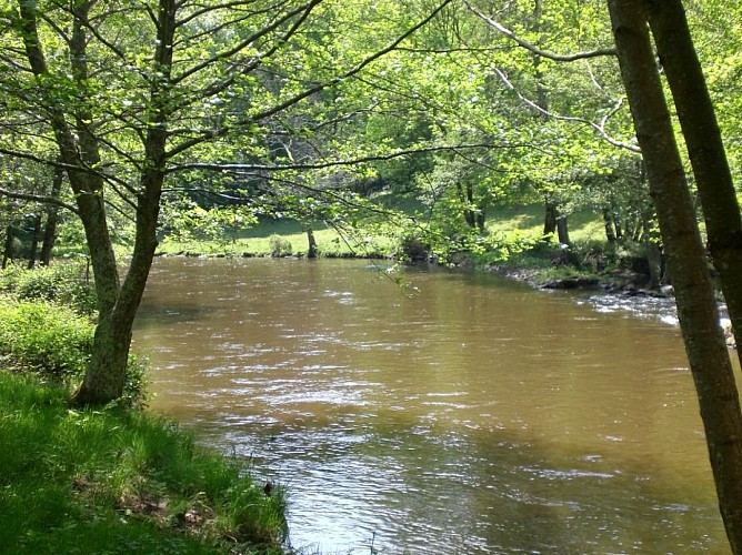 Sentier des narcisses