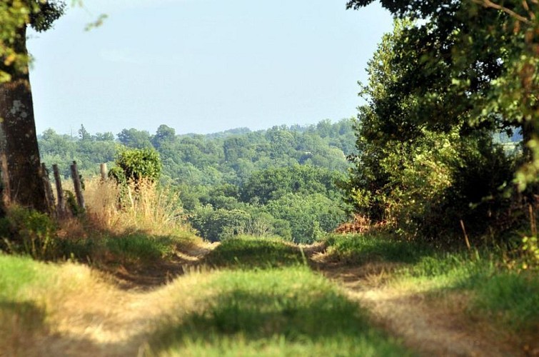 Sentier des templiers et des hospitaliers