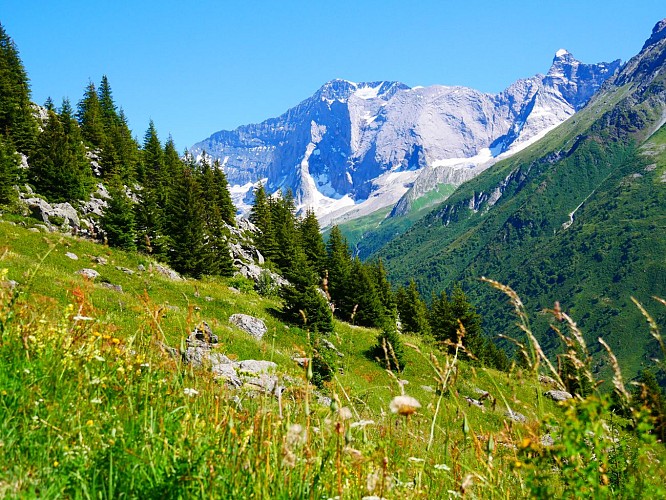 Route für Wanderer : Die Alpage de Lécheron