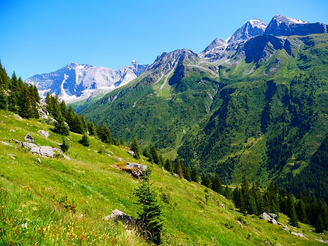 Walking route: L'Alpage de Lécheron