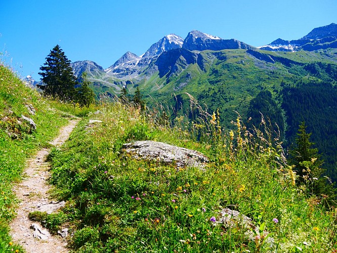 Walking route: L'Alpage de Lécheron