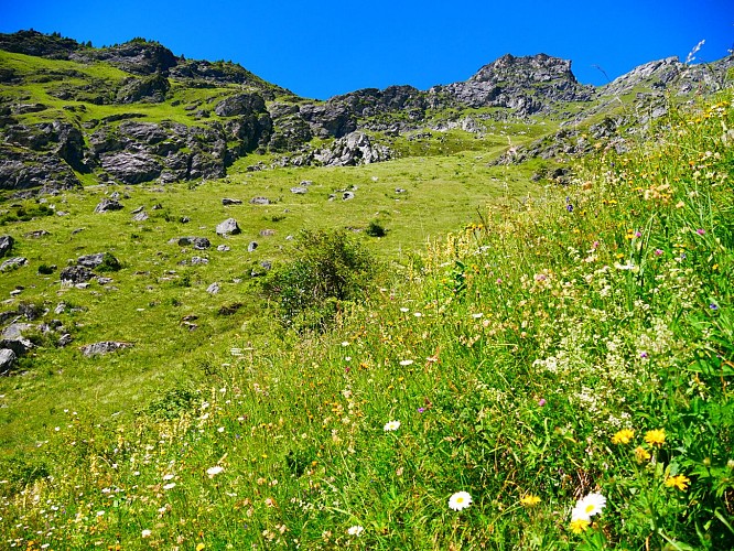 Walking route: L'Alpage de Lécheron