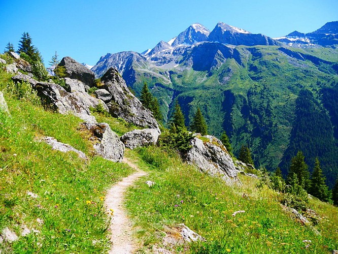 Sur le sentier de Lécheron
