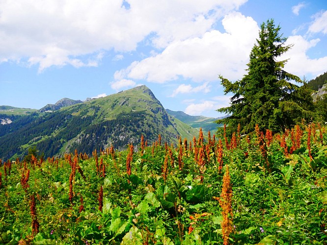Le refuge du Plan des Gouilles par les Enclos du Seil