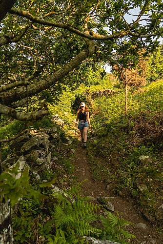 Les chemins du Becquet