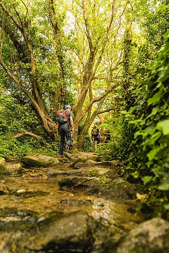 Les chemins du Becquet