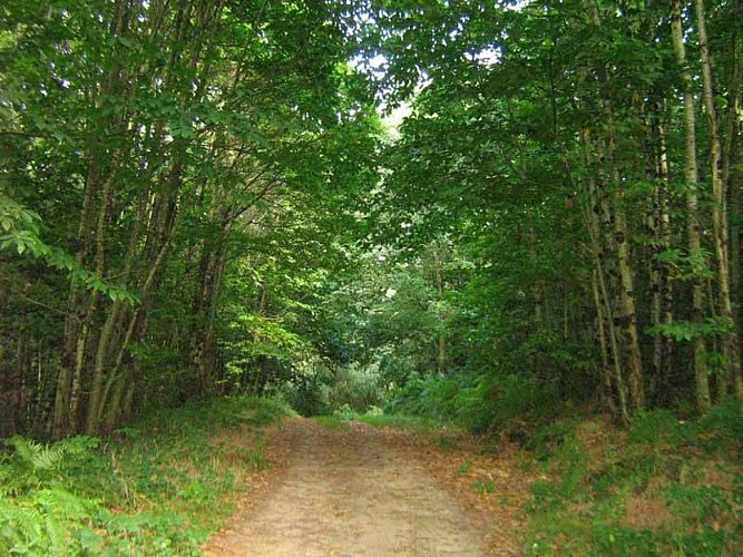 Sentier Les Chevreuils
