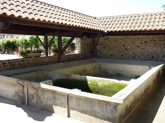 Sentier Les débutants - piste 6