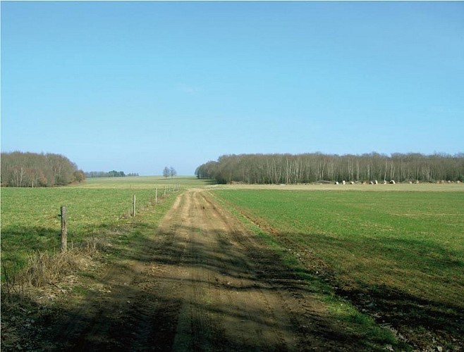 Sentier Les débutants - piste 6