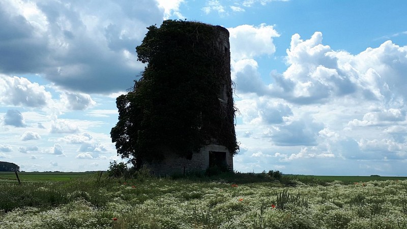 Mettet Blandine Collette (3)