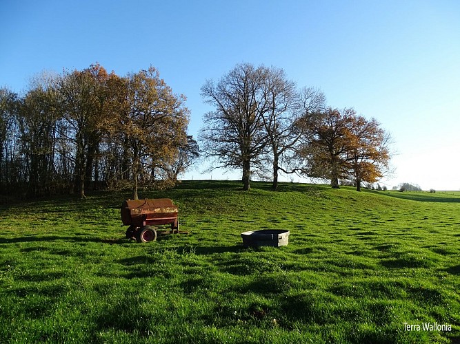 Mettet Blandine Collette (5)