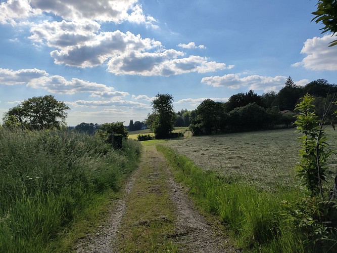 Bujaleuf - les Hauts de Bujaleuf - Pays Monts et Barrages - Aurélien Clavreul (3)