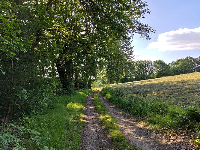 Bujaleuf - les Hauts de Bujaleuf - Pays Monts et Barrages - Aurélien Clavreul (2)