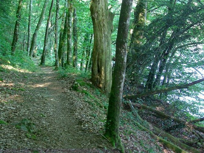 Sentier "Les Hauts de Bujaleuf"