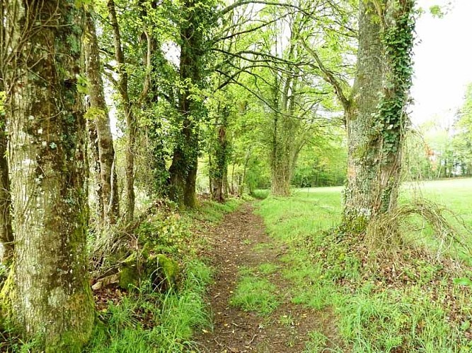 Sentier Les Oiseaux