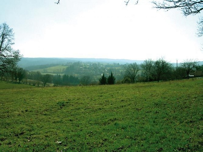 Sentier Puy du Thé - piste 4