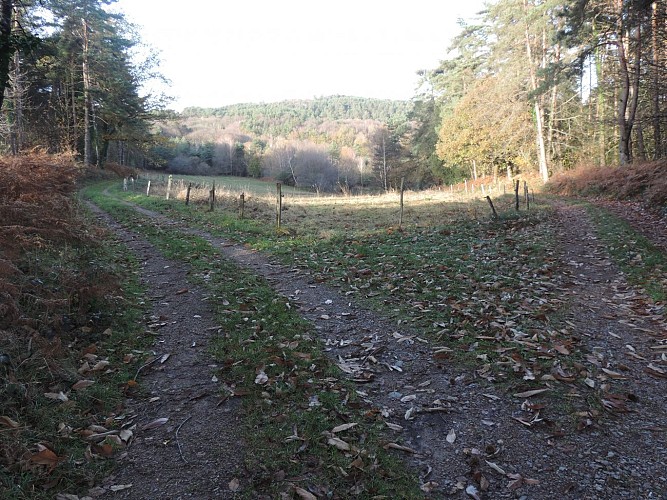 Joli chemin_7