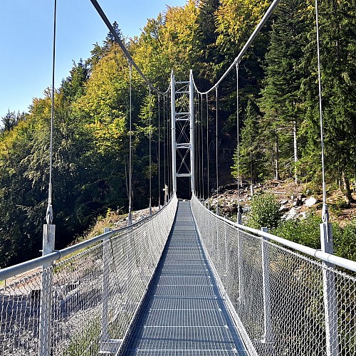 Passerelle himalayenne en été