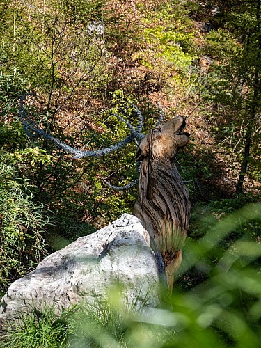 Balade du Plateau d'Assy au Lac Vert par la passerelle du Nant Bordon_Passy