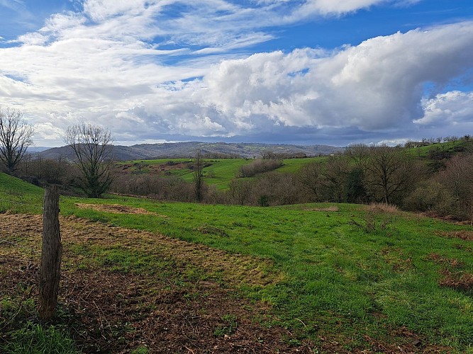 Lostanges vue_7
