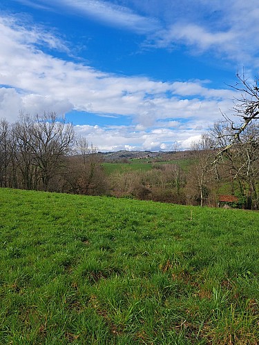 Lostanges vue _8