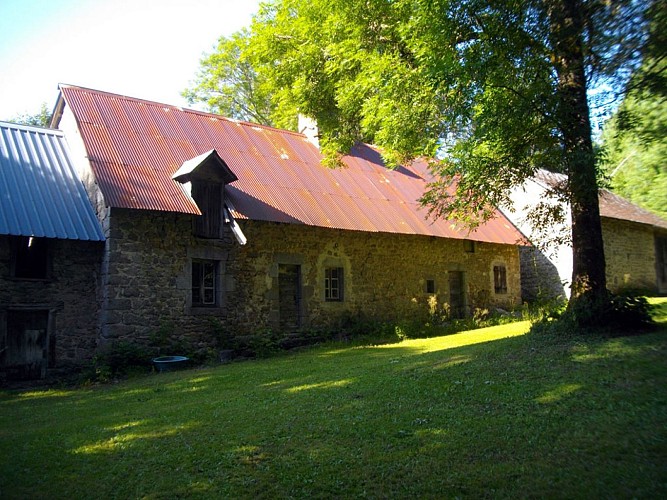 IMGP0827