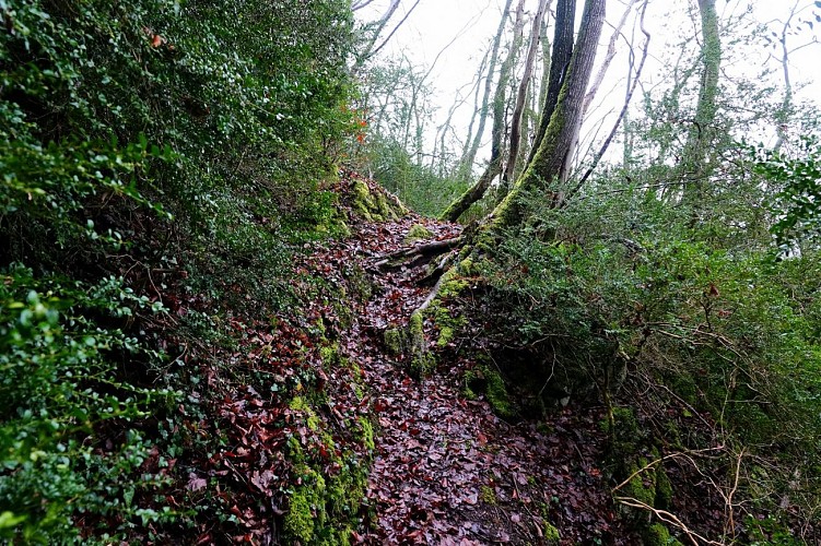 7. Le sacré-coeur (c) Gérard André (2)