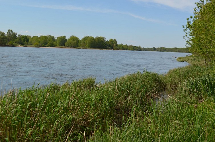 Loire à La Charité