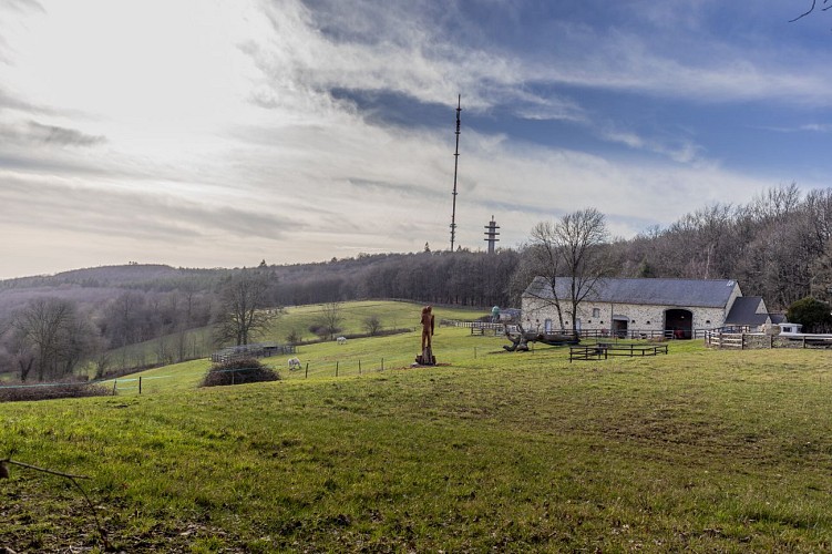 GR365-ETAPE2 - SAINT-PIERRE-SUR-ORTHE - SAINTE GEMMES LE ROBERT