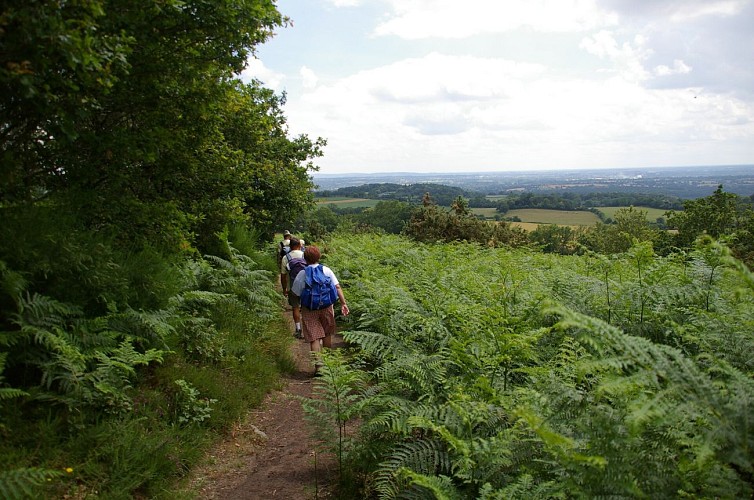 GR365 - ETAPE 3 - SAINTE GEMMES LE ROBERT - JUBLAINS