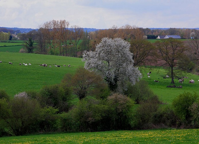 CIRCUIT DU BOCAGE - N°50