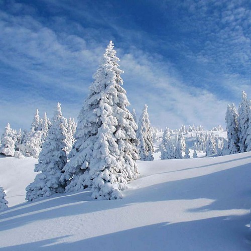 sur le parcours en février