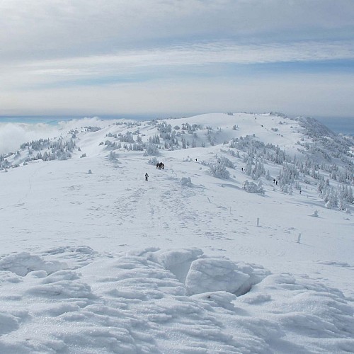 Crêt de La Neige en Février
