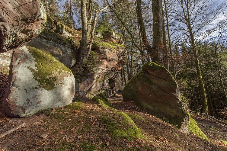 Sentier des trois rochers