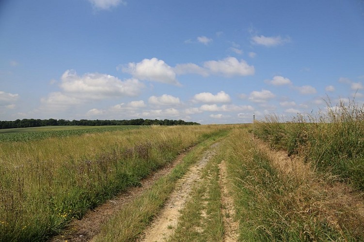 Balade à Bonneville - 6,8 km