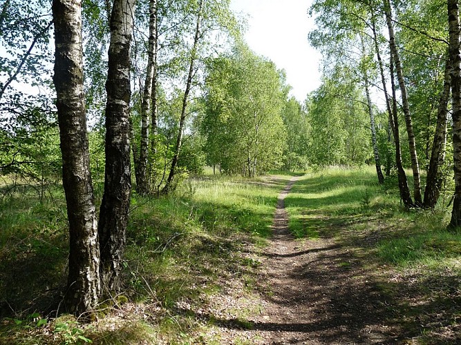 Balade à la Réserve naturelle de Sclaigneaux