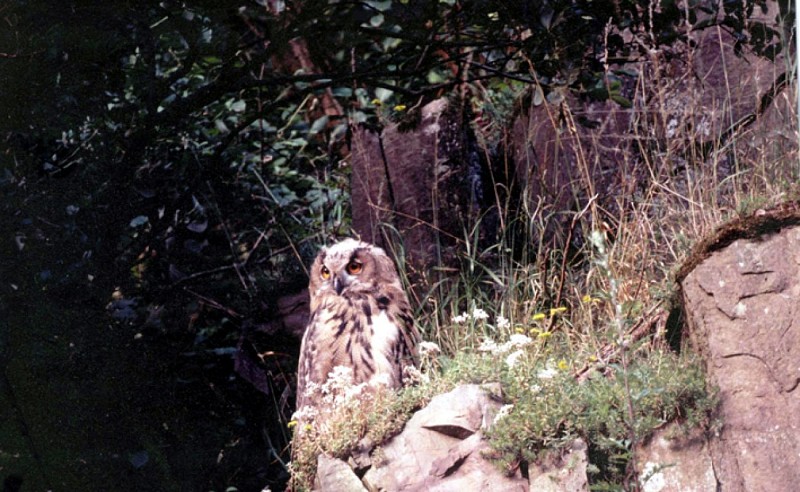 Balade à la Réserve naturelle de Sclaigneaux