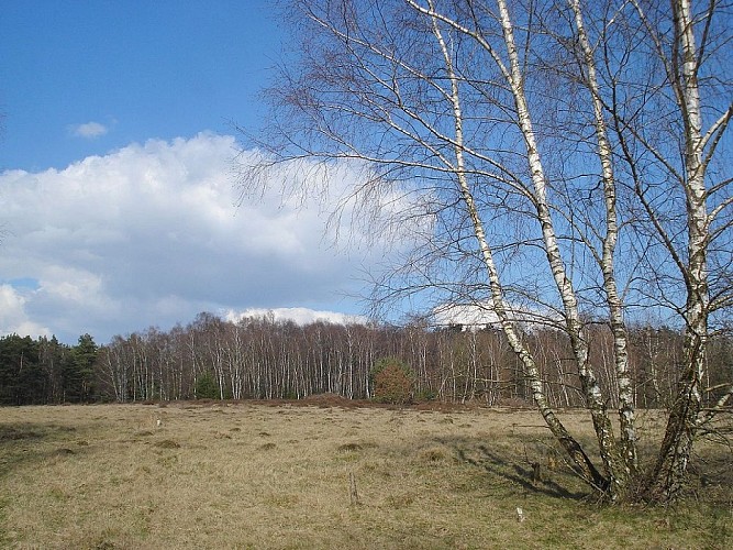 Balade à la Réserve naturelle de Sclaigneaux
