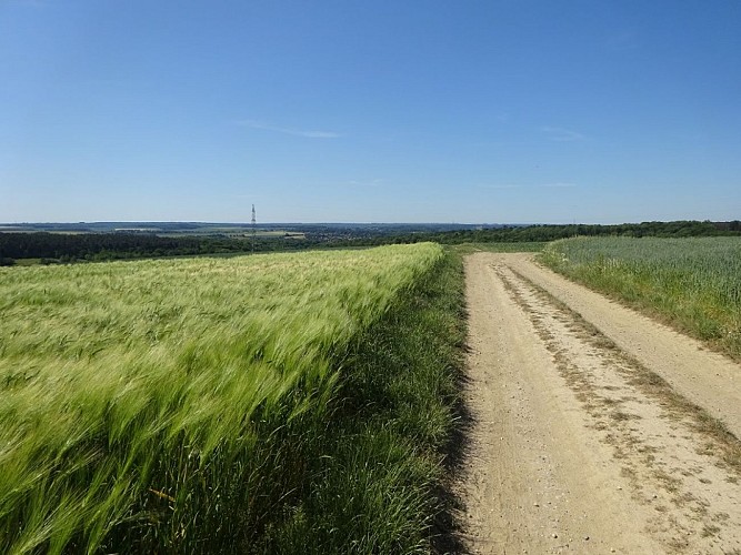 Balade à Landenne