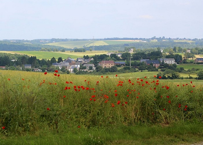 Balade à vélo sur la rive droite de la Meuse