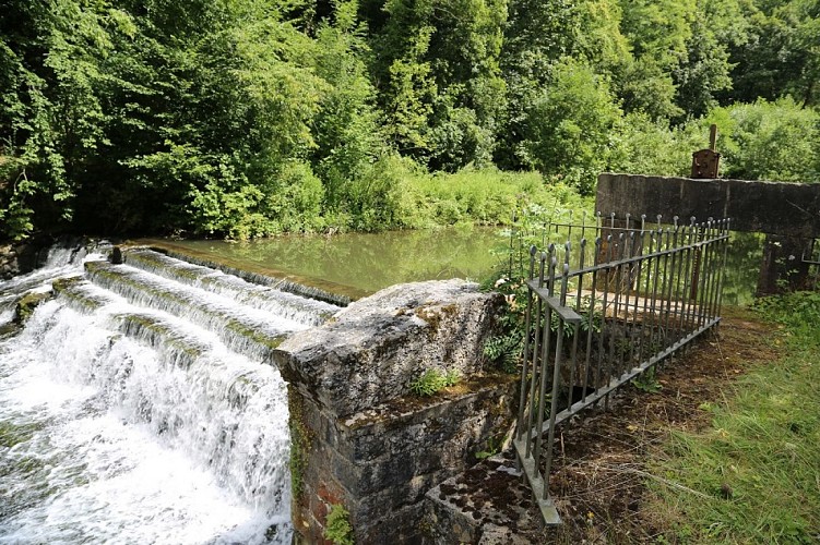 Balade à vélo sur la rive droite de la Meuse