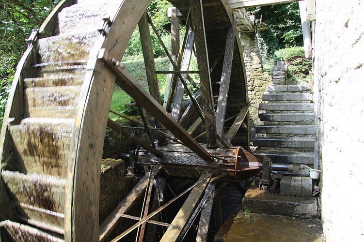 Balade à Vezin - 7,8 km