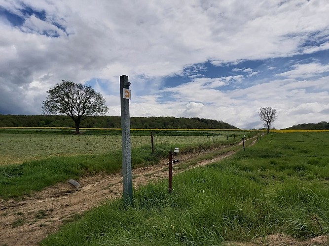 Chevauchée des Arches Royales