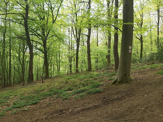 Chevauchée du Chant d'Oiseaux