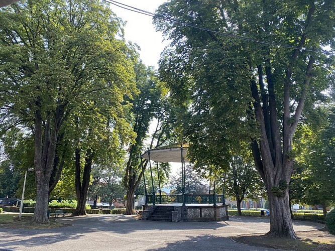 Circuit voiture à la découverte des arbres remarquables