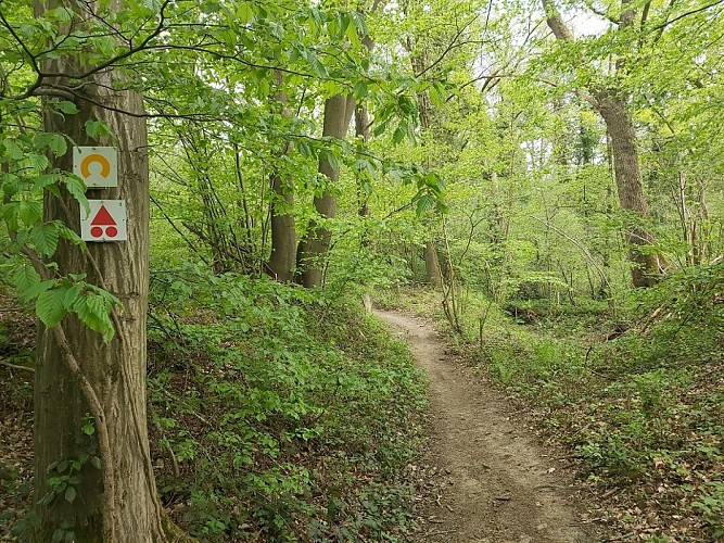 Échappée du Bois d'Heer