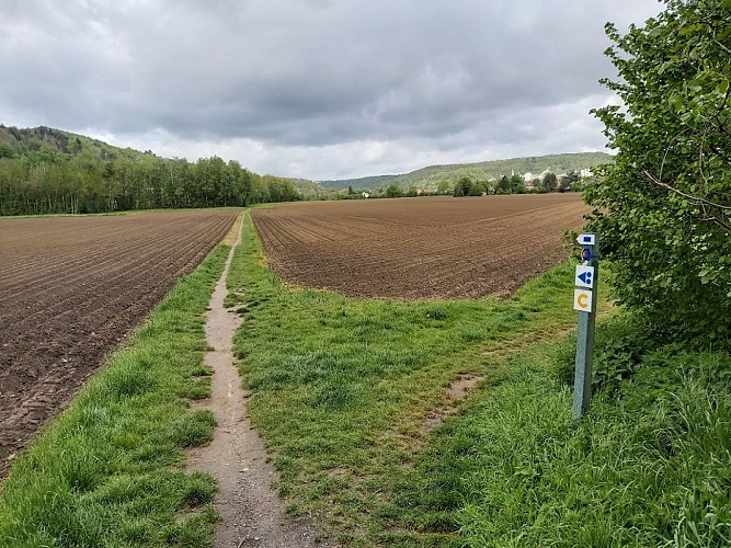 Échappée du Château